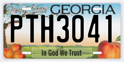 GA license plate PTH3041
