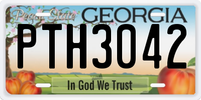 GA license plate PTH3042