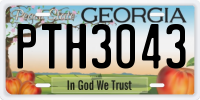 GA license plate PTH3043
