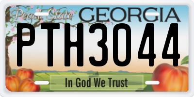 GA license plate PTH3044