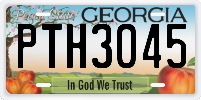 GA license plate PTH3045