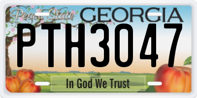 GA license plate PTH3047