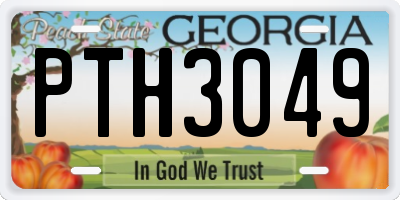 GA license plate PTH3049