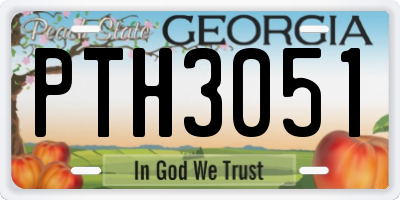 GA license plate PTH3051