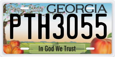 GA license plate PTH3055