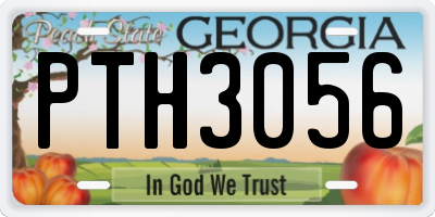 GA license plate PTH3056