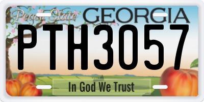 GA license plate PTH3057