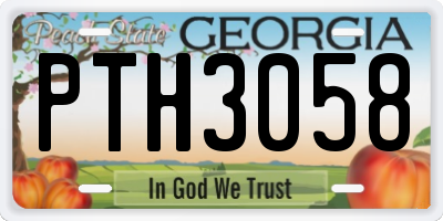 GA license plate PTH3058