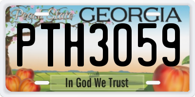 GA license plate PTH3059