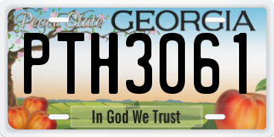 GA license plate PTH3061