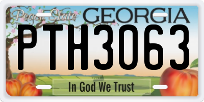 GA license plate PTH3063