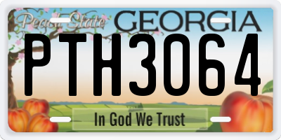 GA license plate PTH3064
