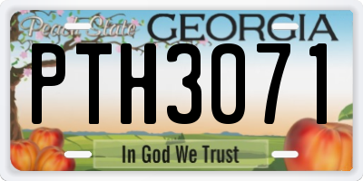 GA license plate PTH3071