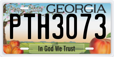 GA license plate PTH3073