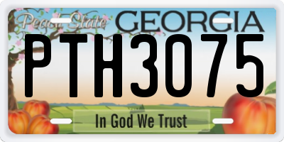 GA license plate PTH3075