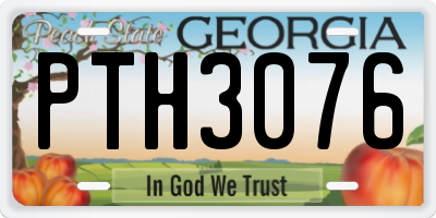 GA license plate PTH3076