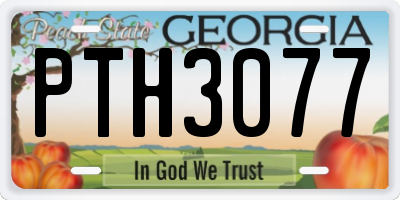 GA license plate PTH3077
