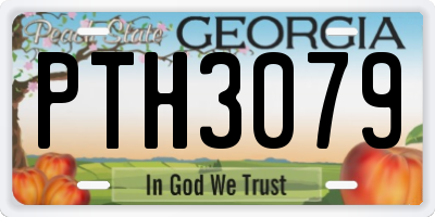 GA license plate PTH3079