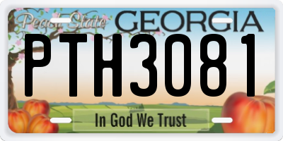 GA license plate PTH3081