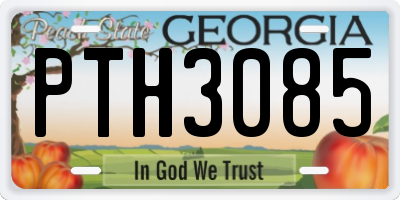 GA license plate PTH3085