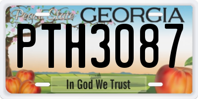 GA license plate PTH3087