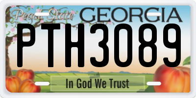 GA license plate PTH3089
