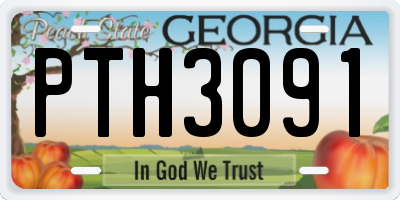 GA license plate PTH3091