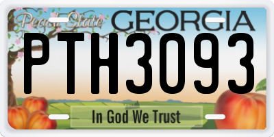 GA license plate PTH3093