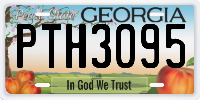 GA license plate PTH3095