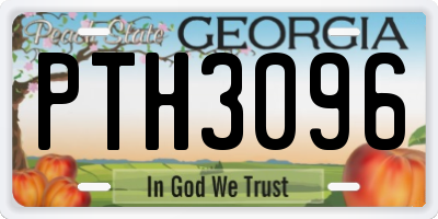 GA license plate PTH3096