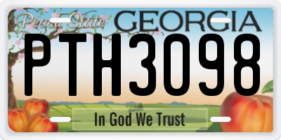 GA license plate PTH3098
