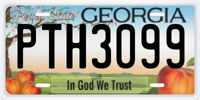 GA license plate PTH3099