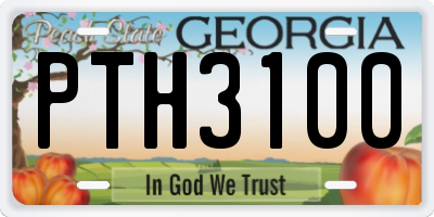 GA license plate PTH3100