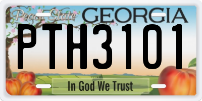 GA license plate PTH3101