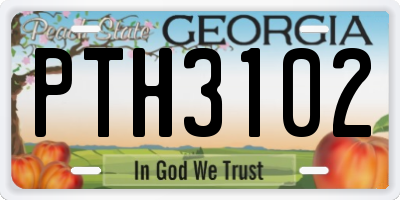 GA license plate PTH3102