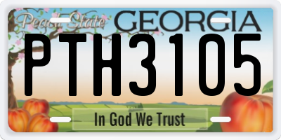 GA license plate PTH3105