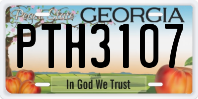 GA license plate PTH3107