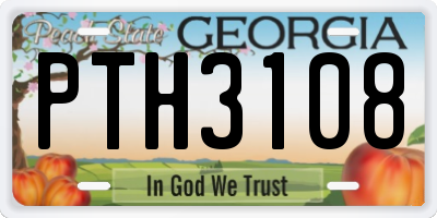 GA license plate PTH3108