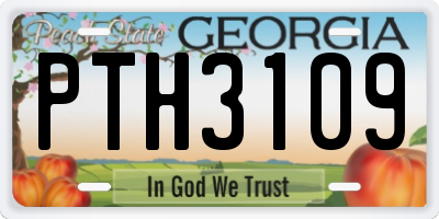 GA license plate PTH3109