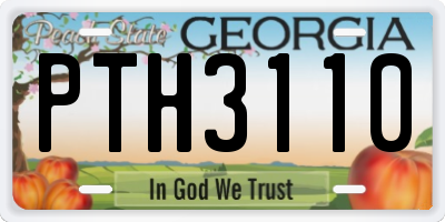 GA license plate PTH3110