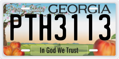 GA license plate PTH3113