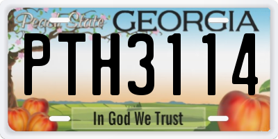 GA license plate PTH3114