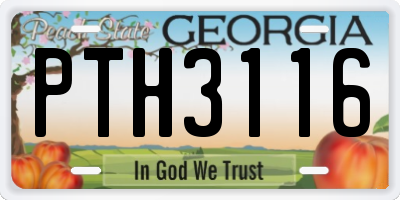 GA license plate PTH3116