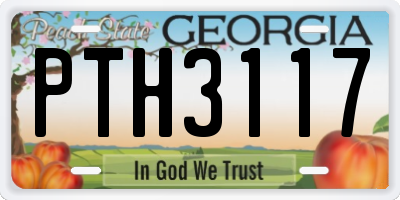 GA license plate PTH3117