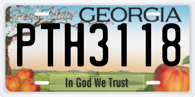 GA license plate PTH3118