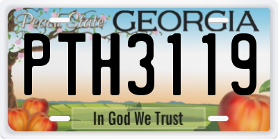 GA license plate PTH3119