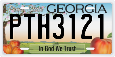 GA license plate PTH3121
