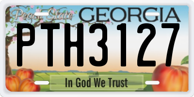 GA license plate PTH3127