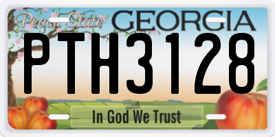 GA license plate PTH3128