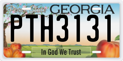 GA license plate PTH3131